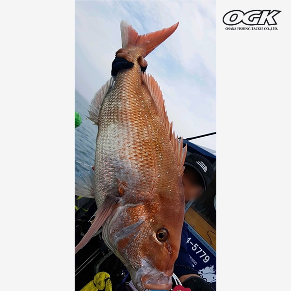 OGK 타이라바 샤프트 참돔 타이라바 낚시대 195L