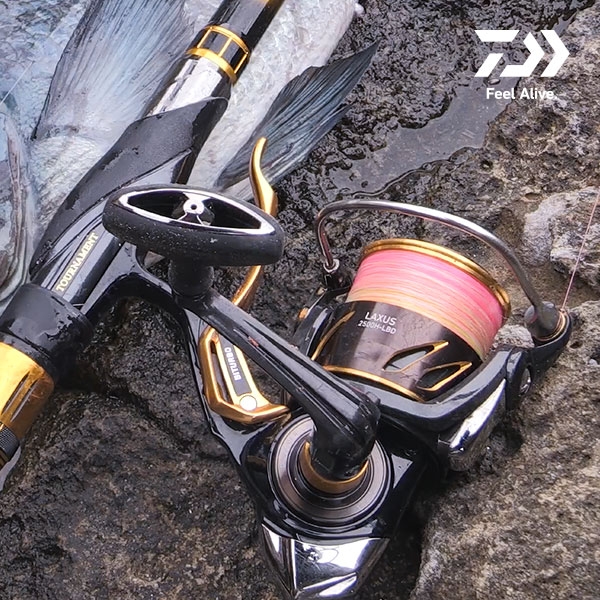 다이와 19 락서스 LBD 브레이크릴 한국다이와보증